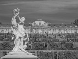 Digital Image (Monochrome) 1st Sanssouci by Alasdair Martin