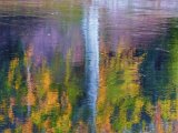 Digital Image (Theme - Water, Ice) 2nd Autumnal Reflections by Paul Skehan